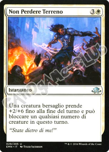 029 / 205 Non Peredere Terreno non comune normale (IT) -NEAR MINT-