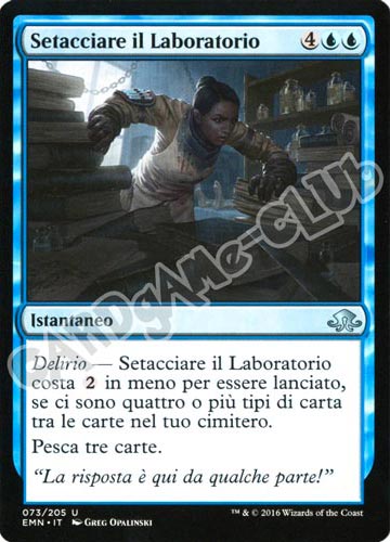 073 / 205 Setacciare il Laboratorio non comune normale (IT) -NEAR MINT-