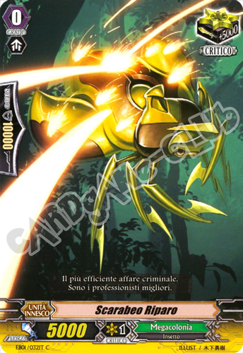 EB01-IT032 Scarabeo Riparo comune normale (IT) -NEAR MINT-