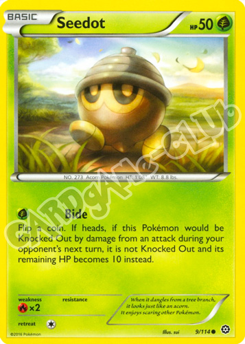 009 / 114 Seedot comune normale (EN) -NEAR MINT-