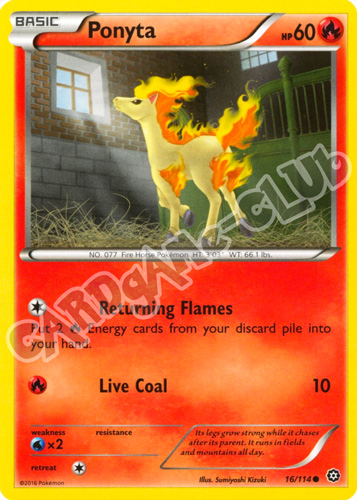 016 / 114 Ponyta comune normale (EN) -NEAR MINT-