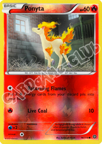 016 / 114 Ponyta comune foil reverse (EN) -NEAR MINT-