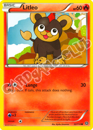 022 / 114 Litleo comune normale (EN) -NEAR MINT-
