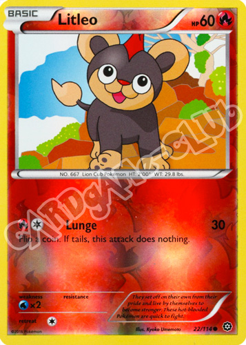 022 / 114 Litleo comune foil reverse (EN) -NEAR MINT-