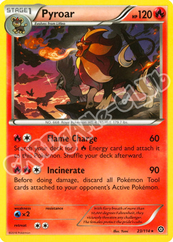 023 / 114 Pyroar rara normale (EN) -NEAR MINT-