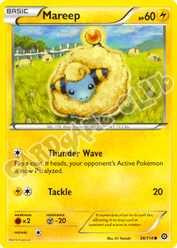 038 / 114 Mareep comune normale (EN) -NEAR MINT-