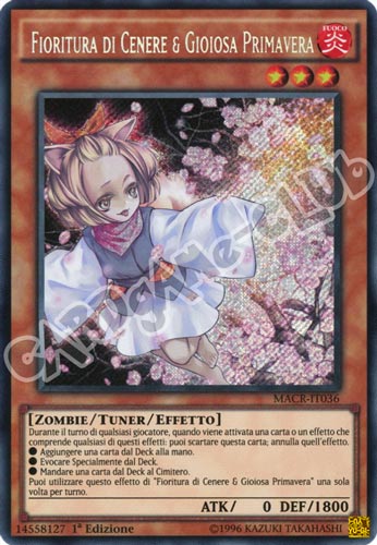 MACR-IT036 Fioritura di Cenere & Gioiosa Primavera rara segreta 1a Edizione (IT) -NEAR MINT-