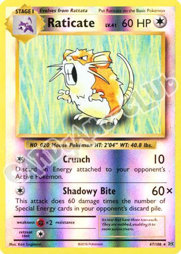 067 / 108 Raticate rara foil reverse (EN) -NEAR MINT-