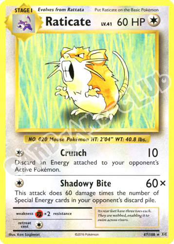 067 / 108 Raticate rara normale (EN) -NEAR MINT-
