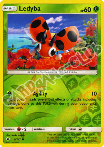 009 / 147 Ledyba comune foil reverse (EN) -NEAR MINT-