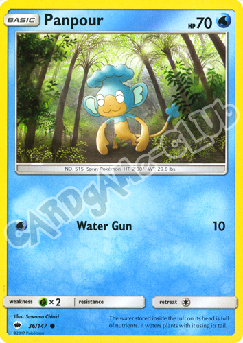 036 / 147 Panpour comune normale (EN) -NEAR MINT-