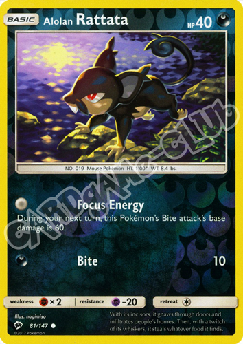 081 / 147 Alolan Rattata comune foil reverse (EN) -NEAR MINT-