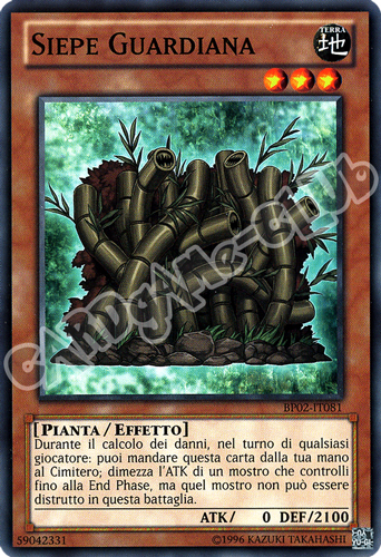 BP02-IT081 Siepe Guardiana comune unlimited (IT)