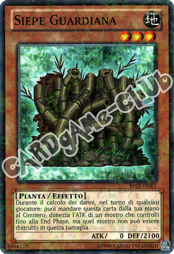 BP02-IT081 Siepe Guardiana comune mosaico unlimited (IT)