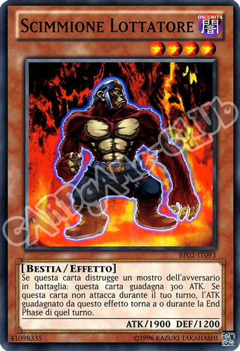 BP02-IT093 Scimmione Lottatore comune unlimited (IT)