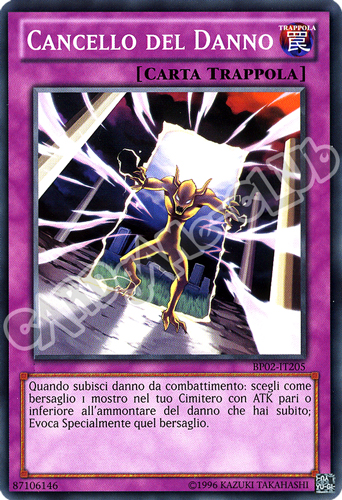 BP02-IT205 Cancello del Danno comune unlimited (IT)