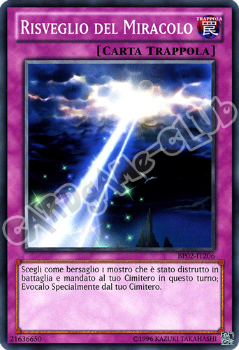 BP02-IT206 Risveglio del Miracolo comune unlimited (IT)