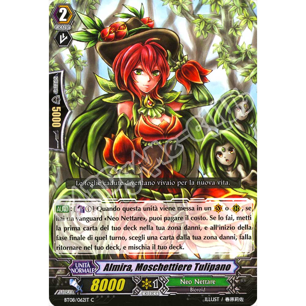 BT08-IT062 Almina, Moschettiere Tulipano comune normale (IT) -NEAR MINT-