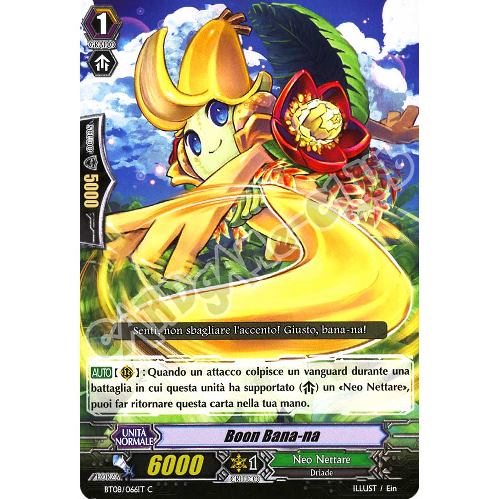 BT08-IT066 Bonn Bana-na comune normale (IT) -NEAR MINT-