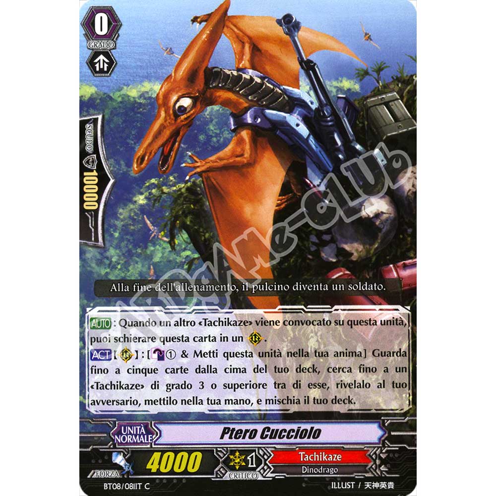 BT08-IT081 Ptero Cucciolo comune normale (IT) -NEAR MINT-