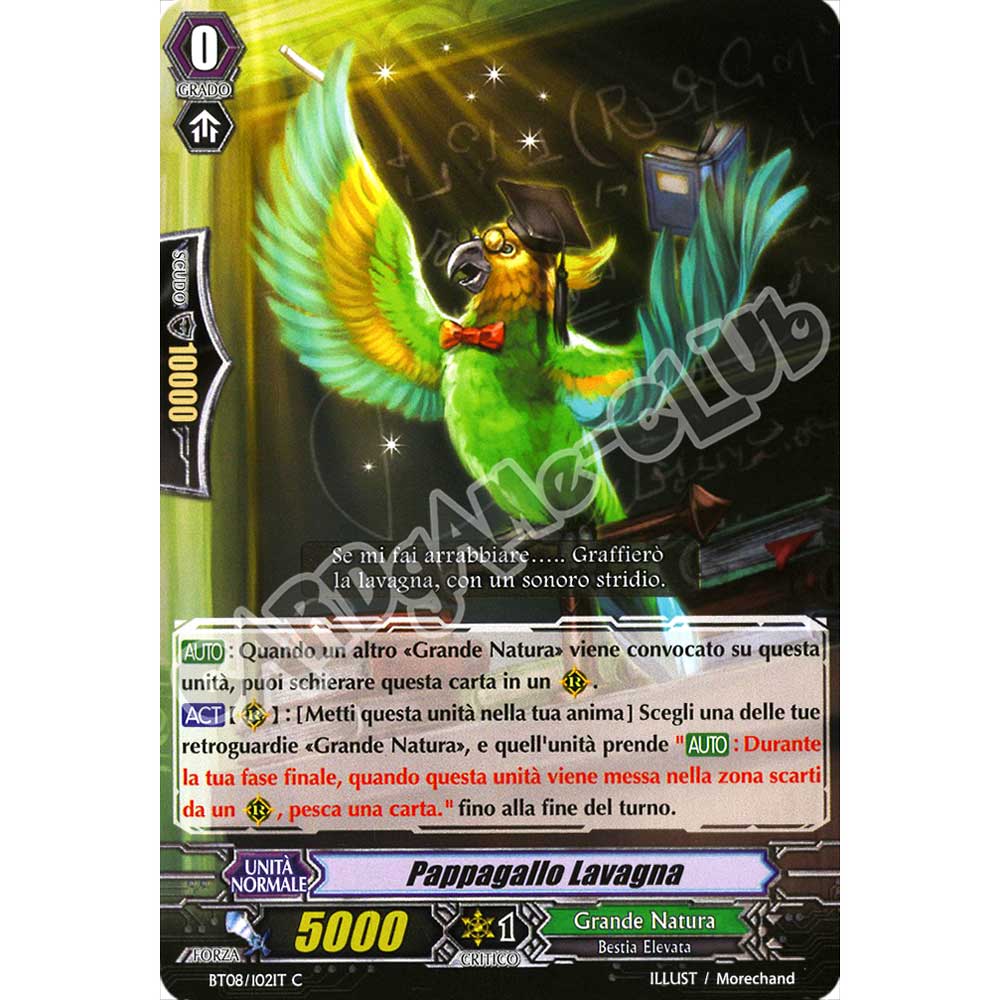 BT08-IT102 Pappagallo Lavagna comune normale (IT) -NEAR MINT-