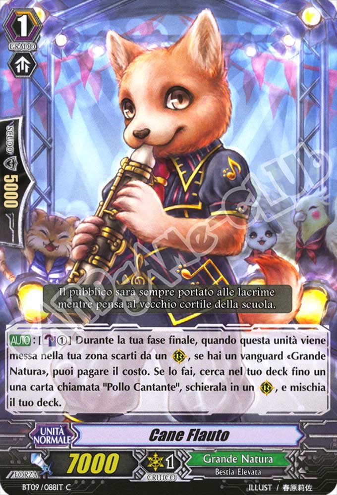 BT09-IT088 Cane Flauto comune normale (IT) -NEAR MINT-