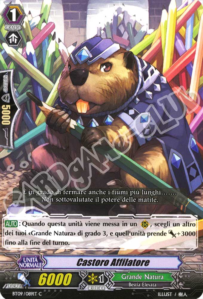 BT09-IT089 Castoro Affilatore comune normale (IT) -NEAR MINT-