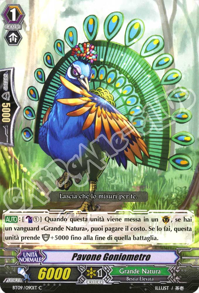 BT09-IT090 Pavone Goniometro comune normale (IT) -NEAR MINT-