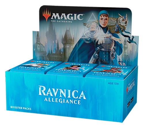 display 36 buste (EN)