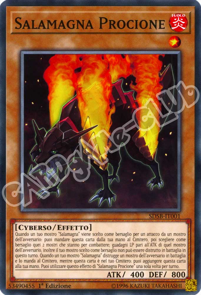 SDSB-IT001 Salamagna Procione comune 1a Edizione (IT) -NEAR MINT-