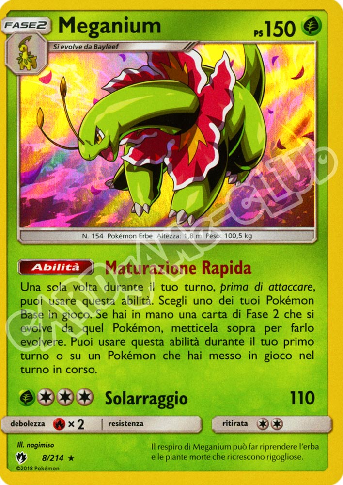 008 / 214 Meganium rara foil (IT) -NEAR MINT-
