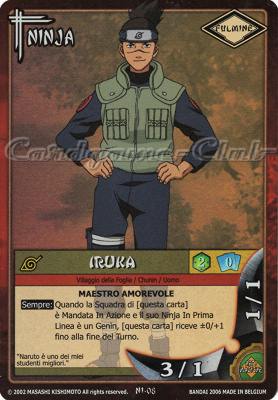 NI08 Iruka rara foil -NEAR MINT-