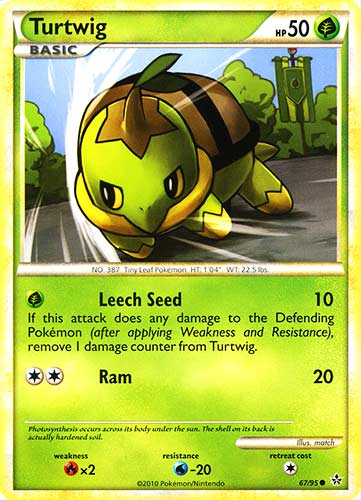 67 / 95 Turtwig comune (EN) -NEAR MINT-