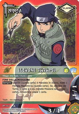 NI-245 Iwashi Tatami comune -NEAR MINT-