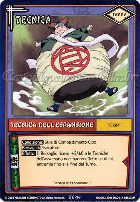 TE24 Tecnica dell'espansione comune -NEAR MINT-