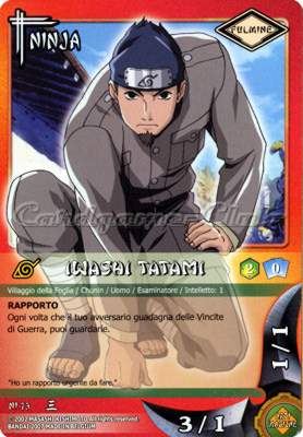 NI73 Iwashi Tatami comune -NEAR MINT-