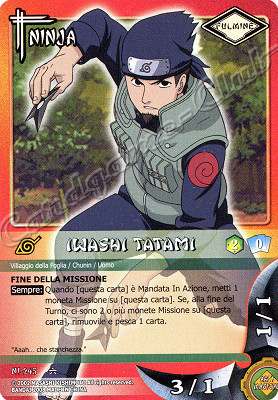 NI-245 Iwashi Tatami comune -NEAR MINT-