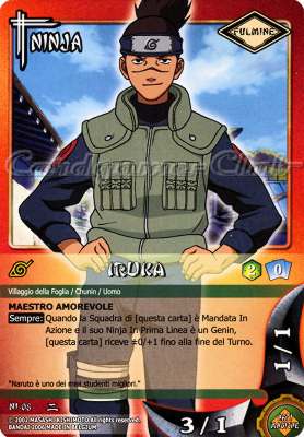 NI08 Iruka comune -NEAR MINT-