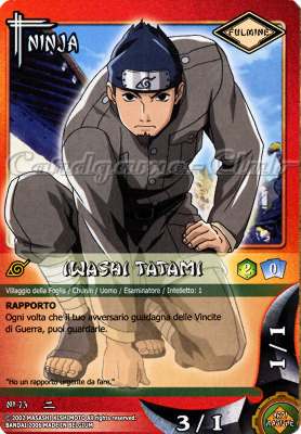 NI73 Iwashi Tatami comune -NEAR MINT-