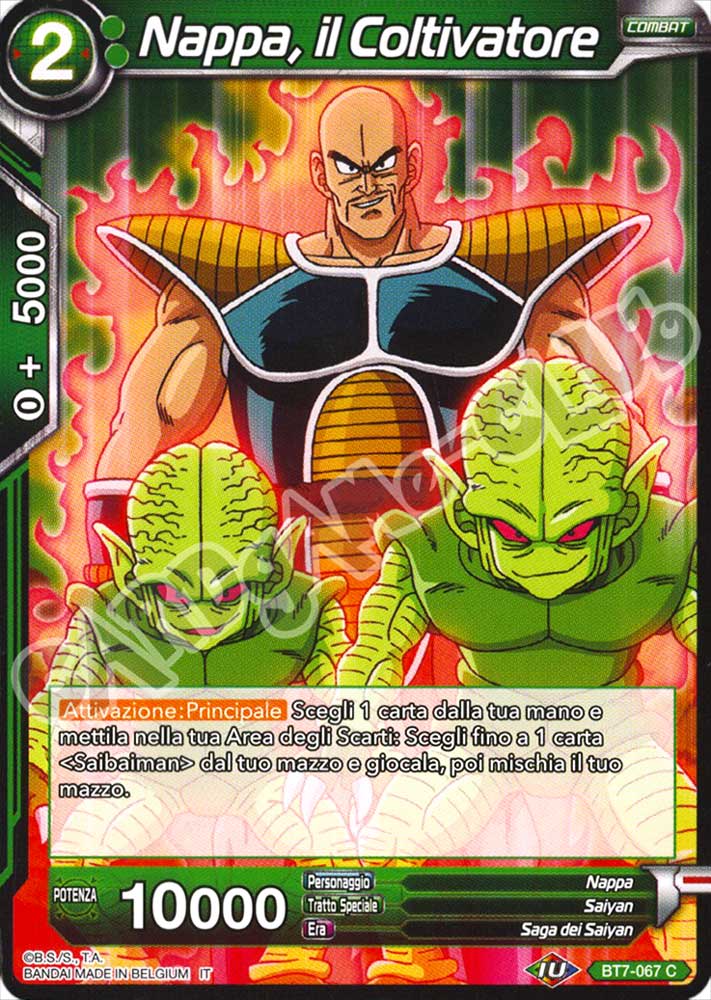 BT7-067 Nappa, il Coltivatore comune normale (IT) -NEAR MINT-