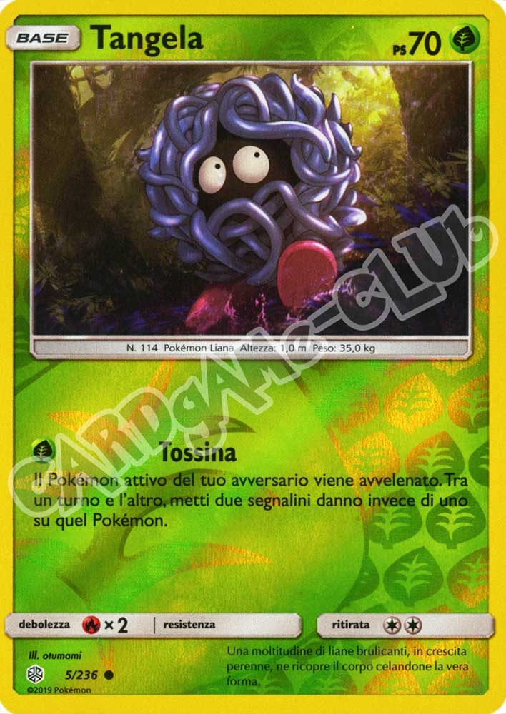 005 / 236 Tangela comune foil reverse (IT) -NEAR MINT-