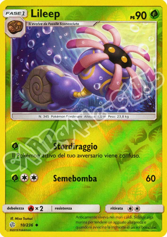 010 / 236 Lileep non comune foil reverse (IT) -NEAR MINT-