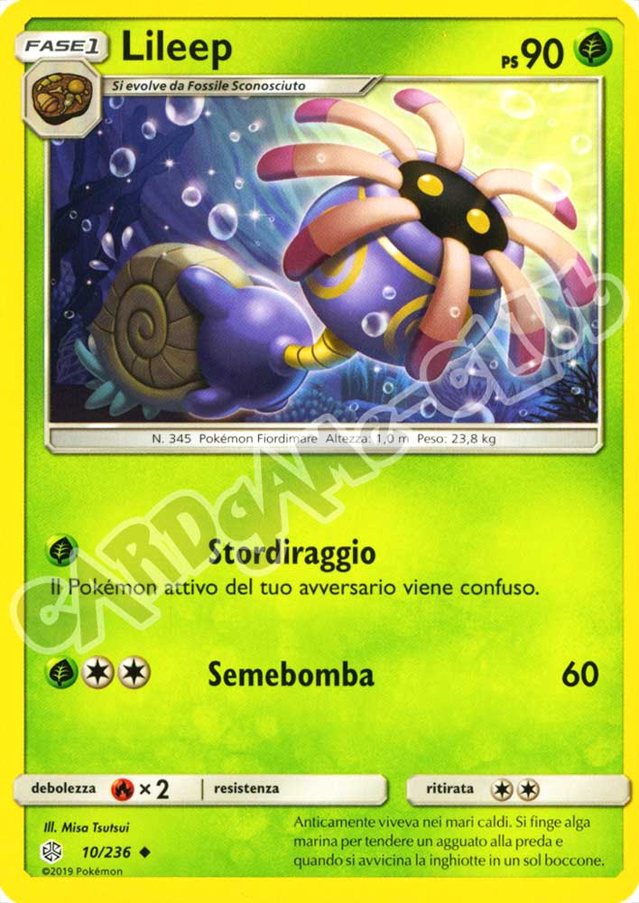 010 / 236 Lileep non comune normale (IT) -NEAR MINT-