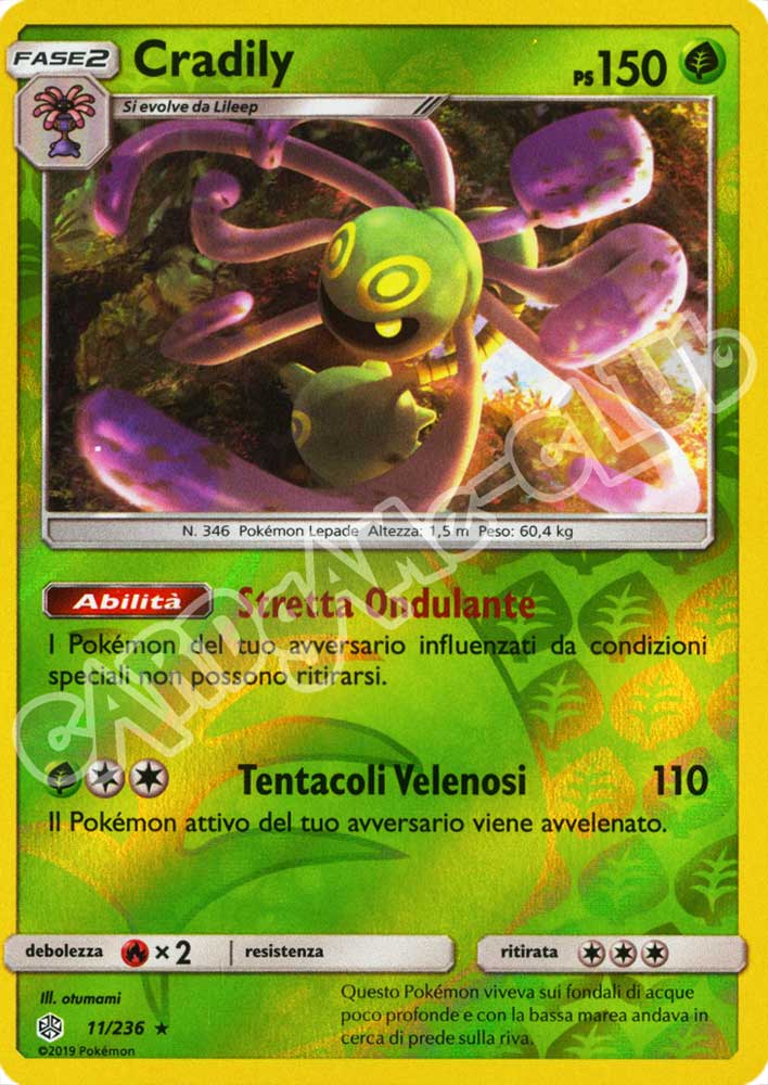011 / 236 Cradily rara foil reverse (IT) -NEAR MINT-