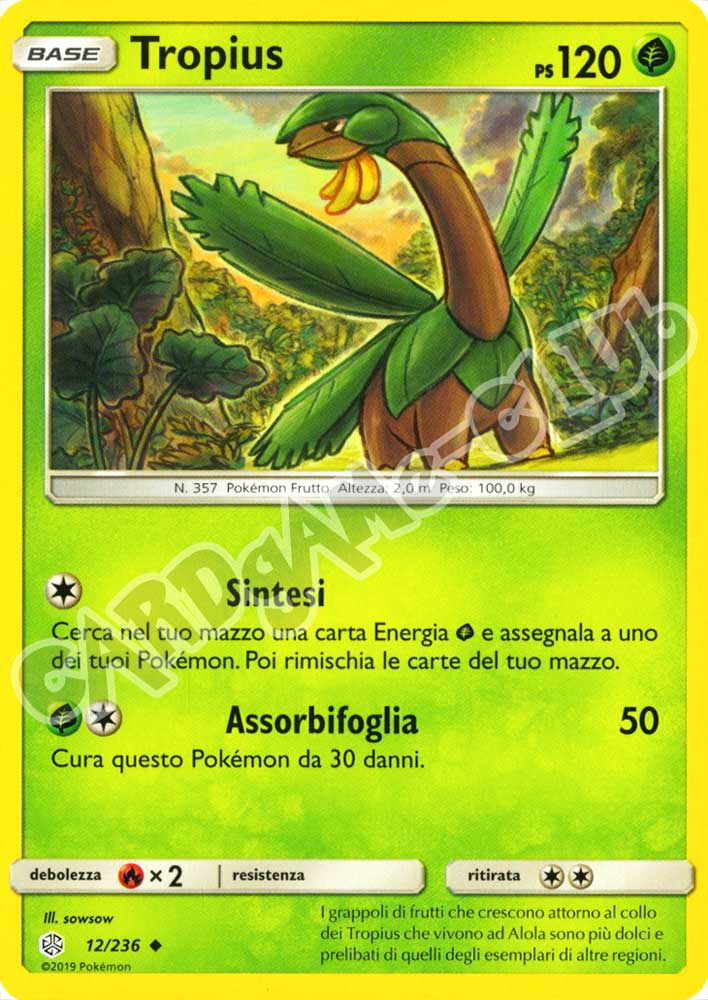 012 / 236 Tropius non comune normale (IT) -NEAR MINT-