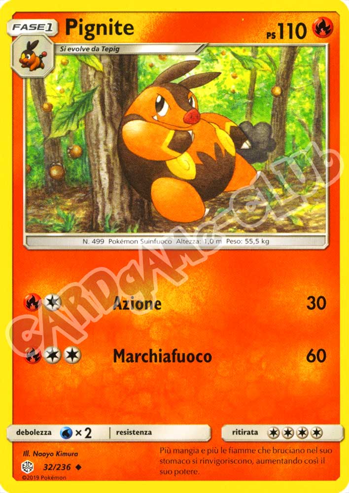 032 / 236 Pignite non comune normale (IT) -NEAR MINT-