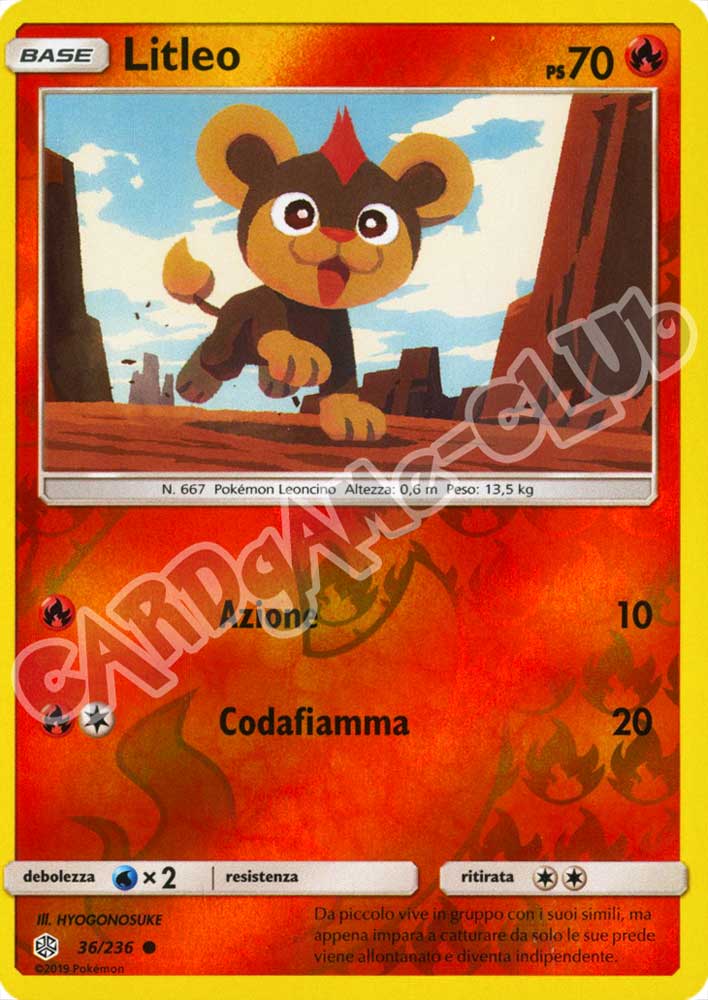 036 / 236 Litleo comune foil reverse (IT) -NEAR MINT-