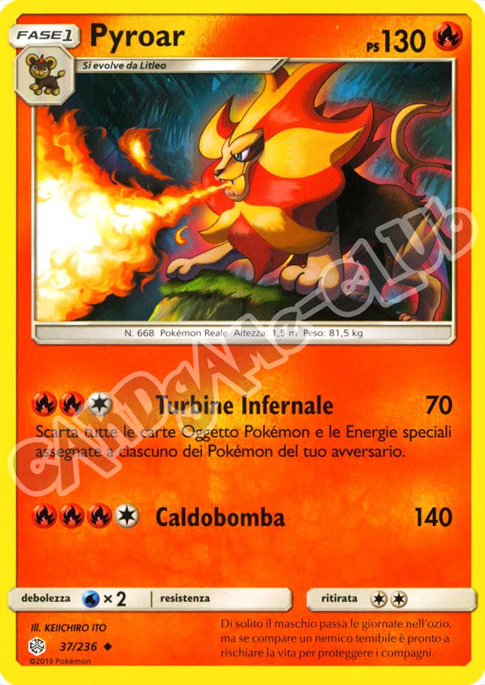 037 / 236 Pyroar non comune normale (IT) -NEAR MINT-