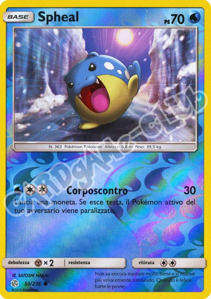 050 / 236 Spheal comune foil reverse (IT) -NEAR MINT-