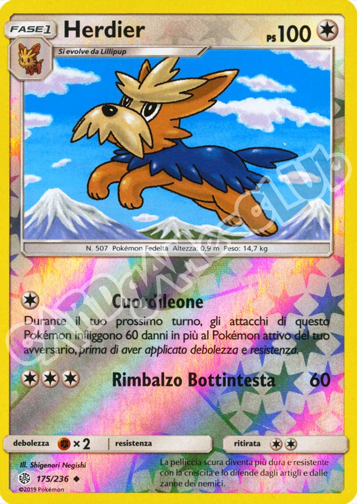 175 / 236 Herdier non comune foil reverse (IT) -NEAR MINT-